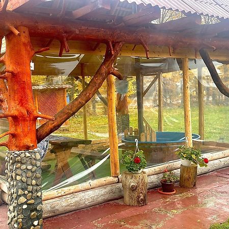 Готель Casa Marinca Окна-Шугатаг Екстер'єр фото